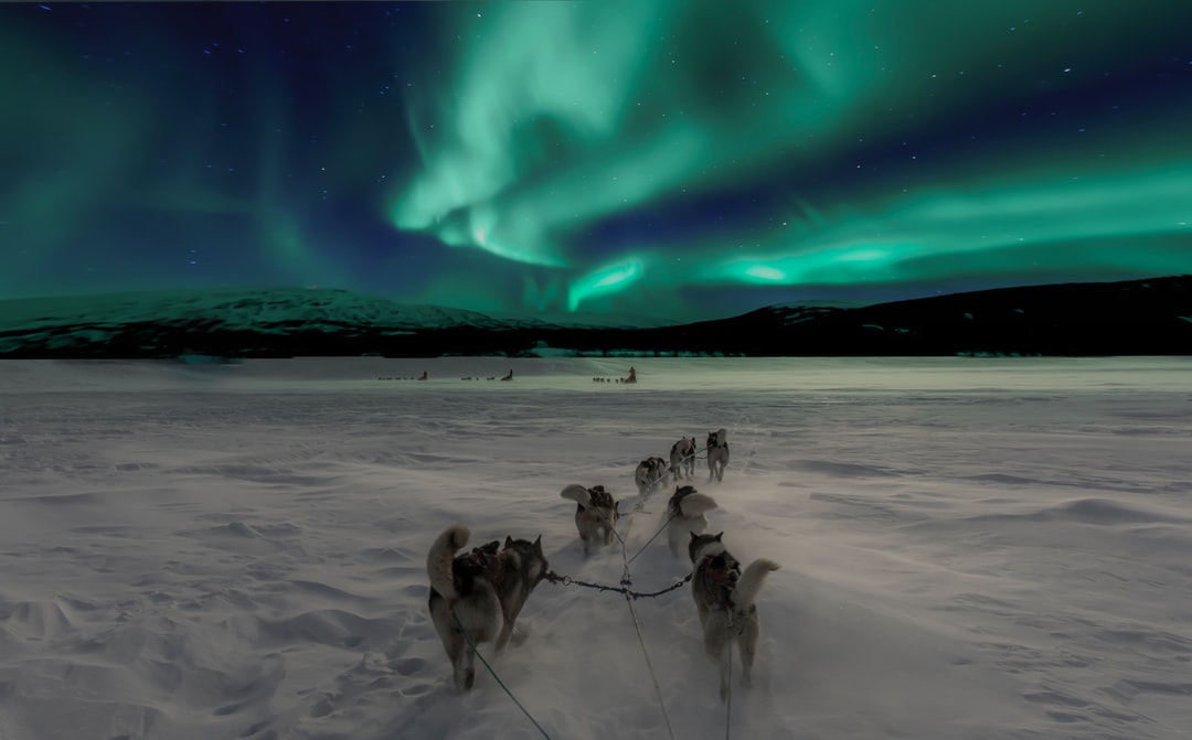 Its cold out there scenery of aurora